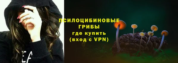МДПВ Белокуриха