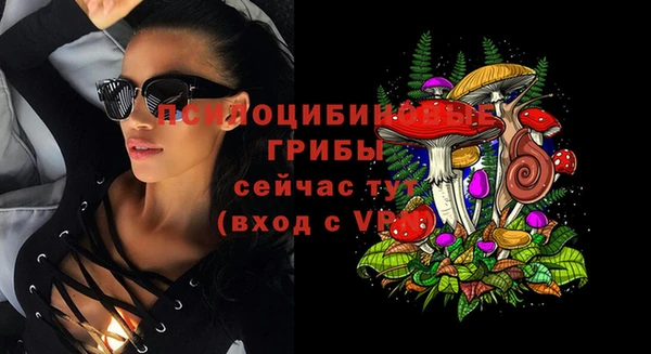 дурь Беломорск