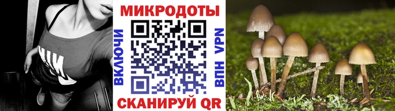 Купить  Жирновск  Галлюциногенные грибы GOLDEN TEACHER 